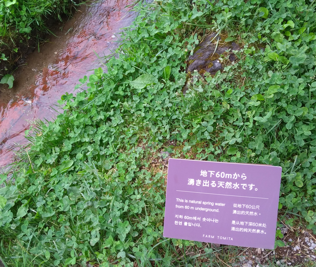 スクリーンショット_2026-04-30_120806.png