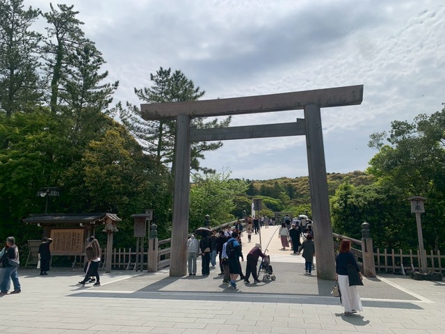 IMG_3490.jpeg