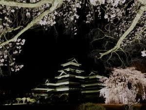 9FEC0C57-C9C1-4356-80F7-953A5D2124DF.jpeg