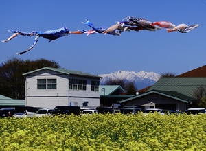 EF016972-3A90-42FB-AC35-3213CE1A9EA2.jpeg