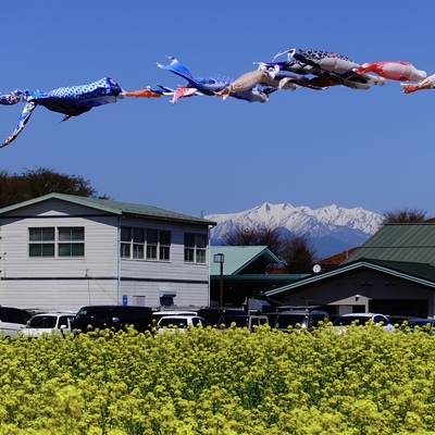 EF016972-3A90-42FB-AC35-3213CE1A9EA2.jpeg