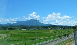 スクリーンショット_2026-05-01_210318.png