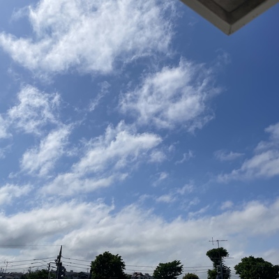 26D843E9-16CB-435A-AEFF-FF0532C0D38A.jpeg