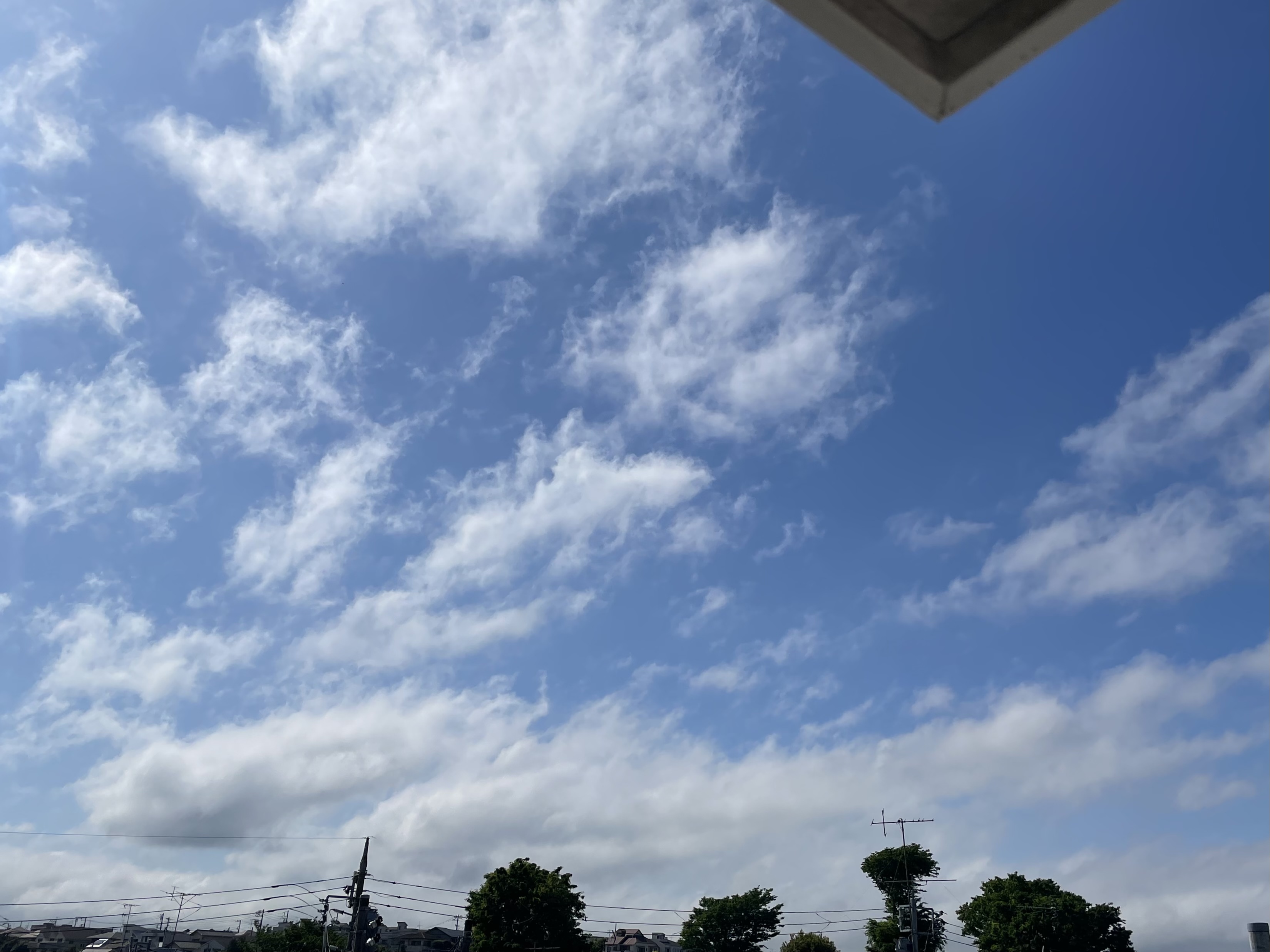 26D843E9-16CB-435A-AEFF-FF0532C0D38A.jpeg