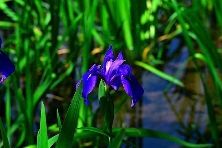 DSC_8420.jpg