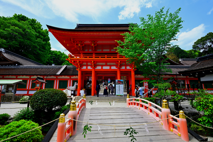 DSC_8649.jpg