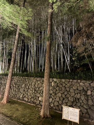 IMG_0201.jpeg