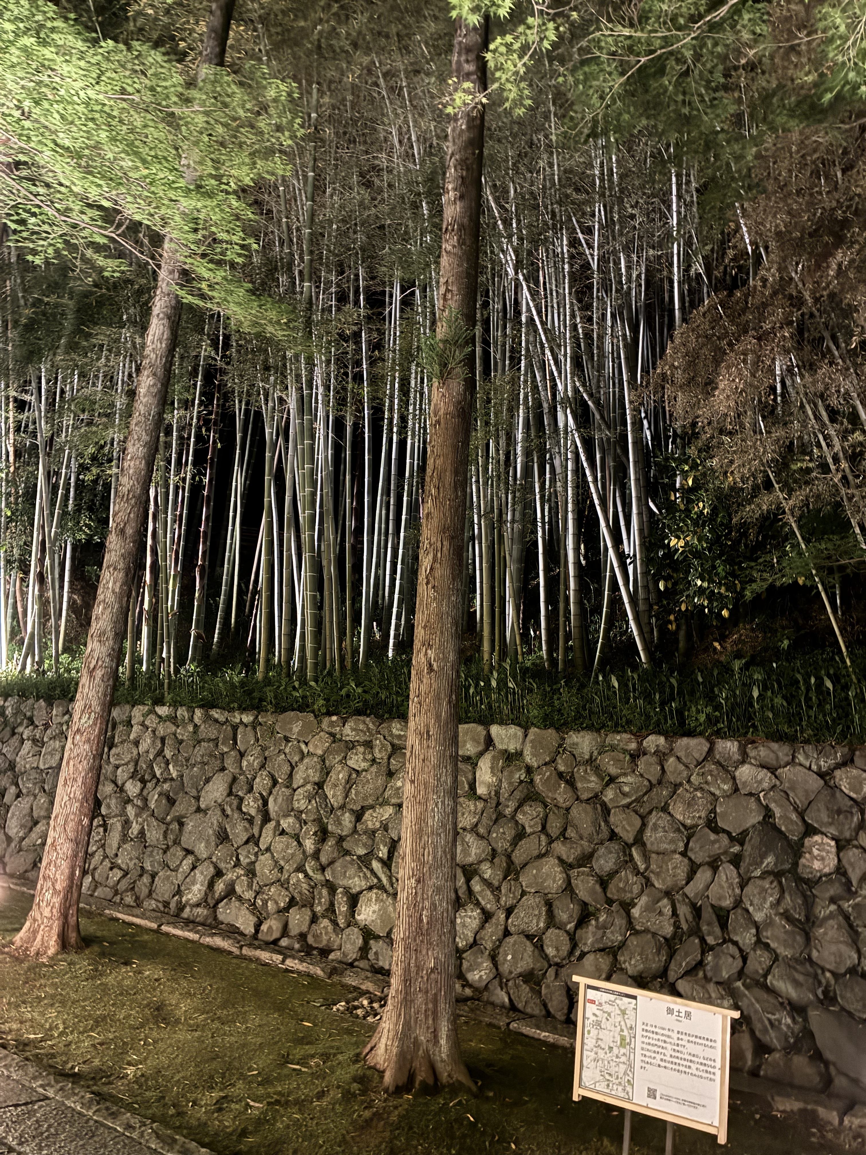 IMG_0201.jpeg