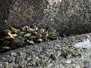 IMG_7572.jpeg