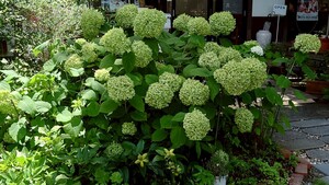 B68ACD79-50C3-4D5F-B2B5-A16C2A7C93A6.jpeg