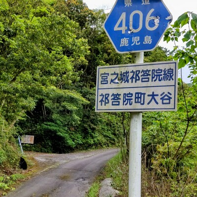 DSC_2016_2.JPG