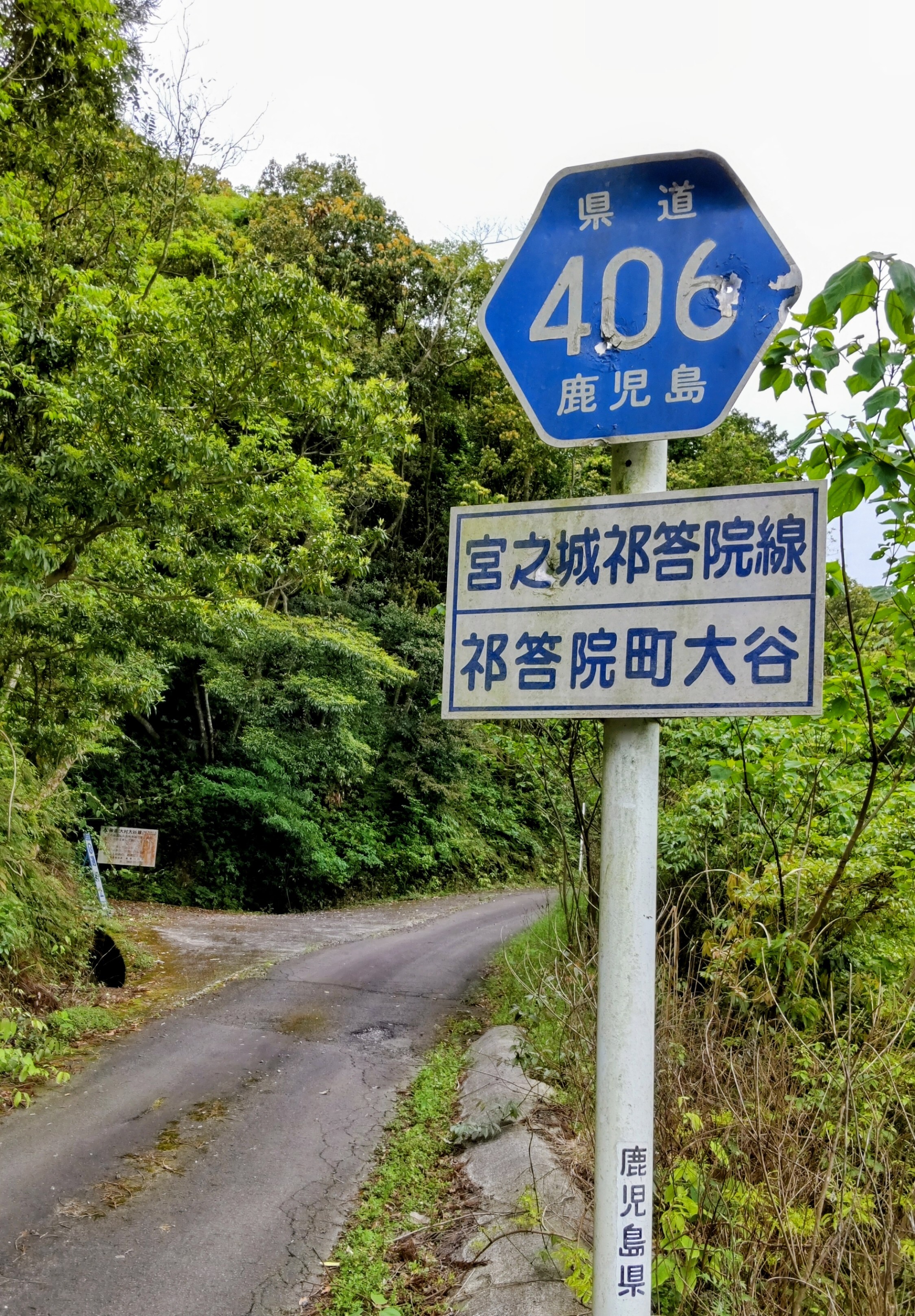 DSC_2016_2.JPG