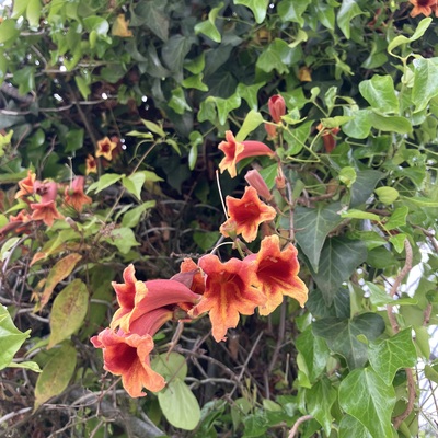 IMG_3147.jpeg