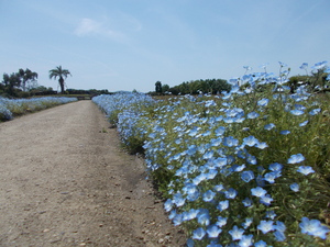 DSCN2170.JPG
