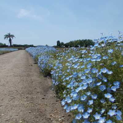 DSCN2170.JPG