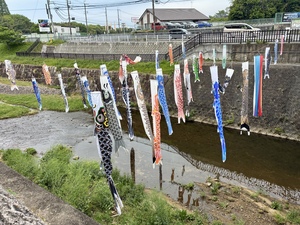 IMG_2767.jpeg