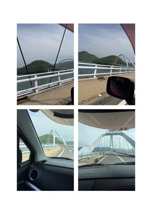 IMG_7591.jpeg