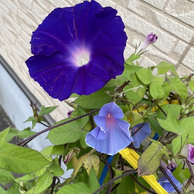 IMG_3935.jpeg