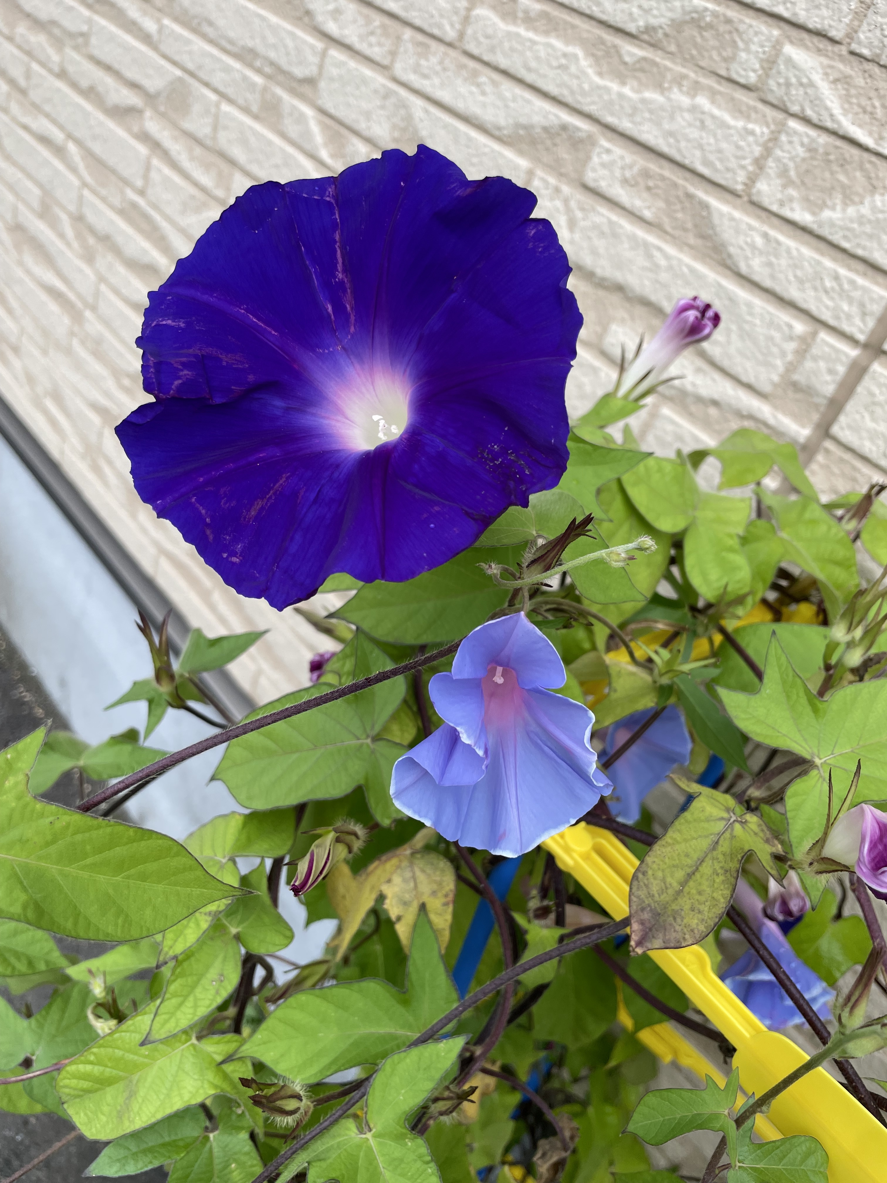 IMG_3935.jpeg