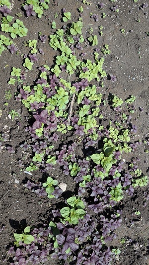 PXL_20260504_011024590.jpg