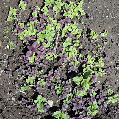 PXL_20260504_011024590.jpg