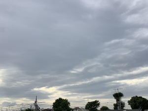 IMG_0302.jpeg