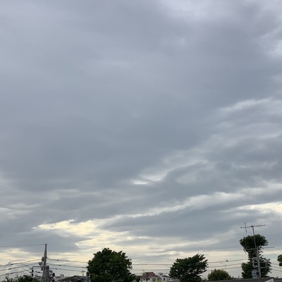 IMG_0302.jpeg