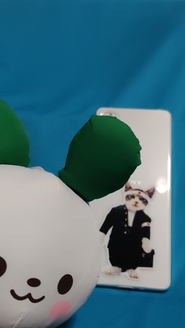 260504151615514.JPG