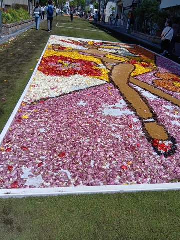 260504101715276.JPG