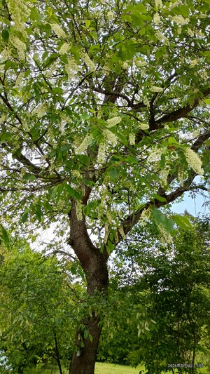 IMG_20260504_115515647_HDR_2.jpg