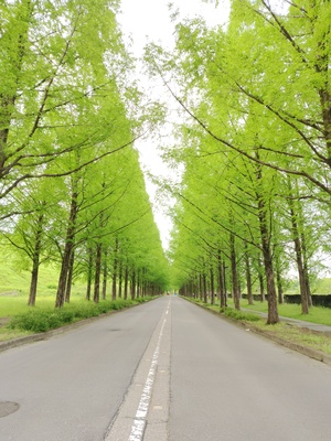 260503082122660.JPG