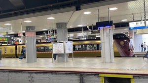 IMG_0509.jpeg