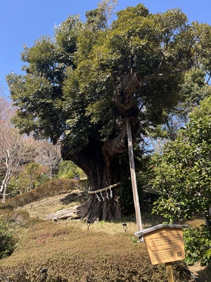 IMG_4031.jpeg