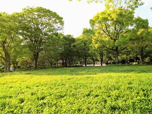 DSC_0556_2.JPG