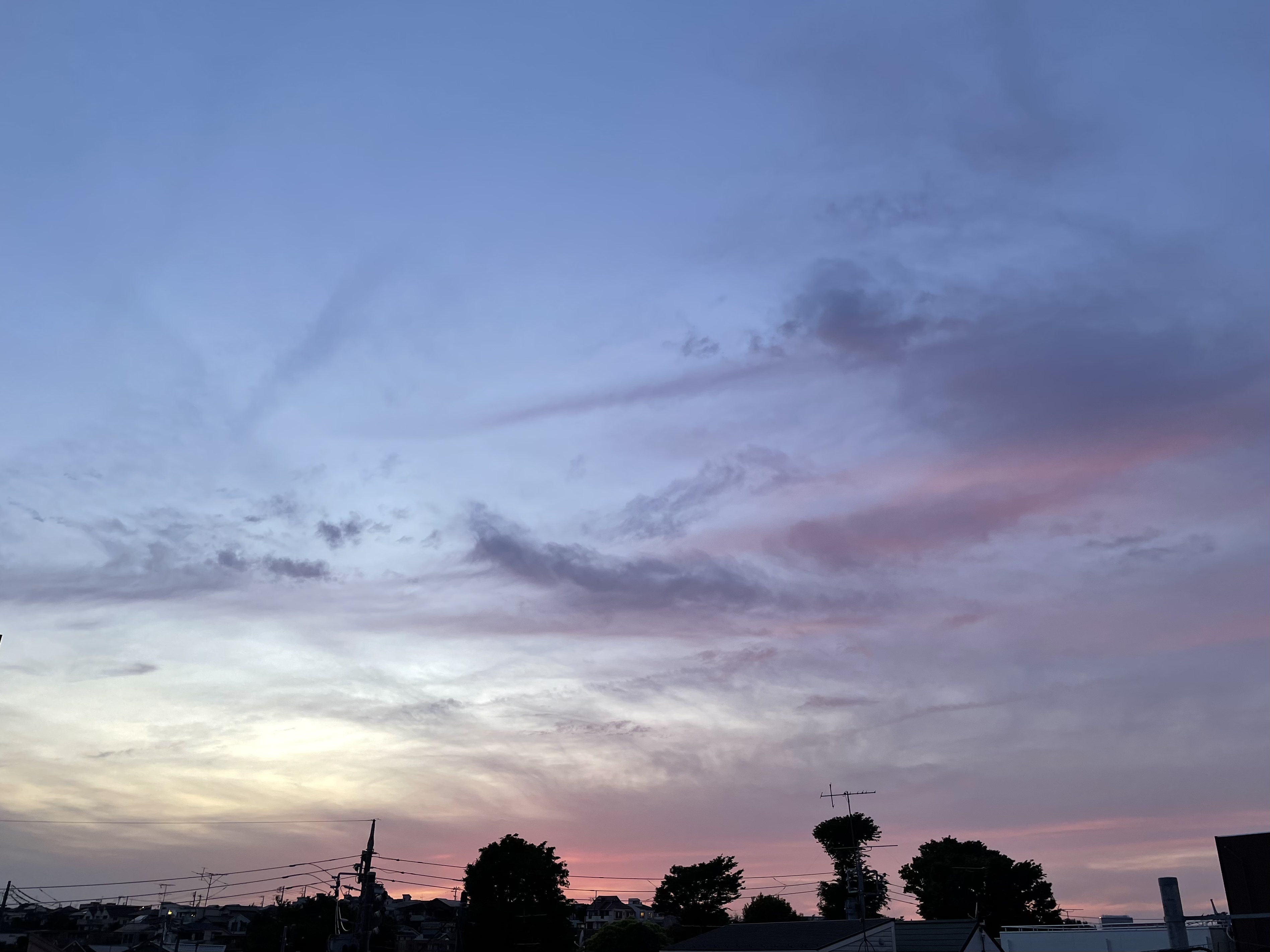 9DB73B23-0871-4FA1-8831-9B767A219420.jpeg