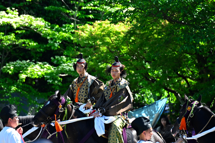 DSC_8770.jpg