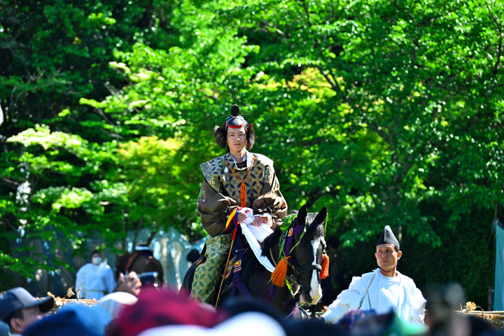 DSC_8784.jpg