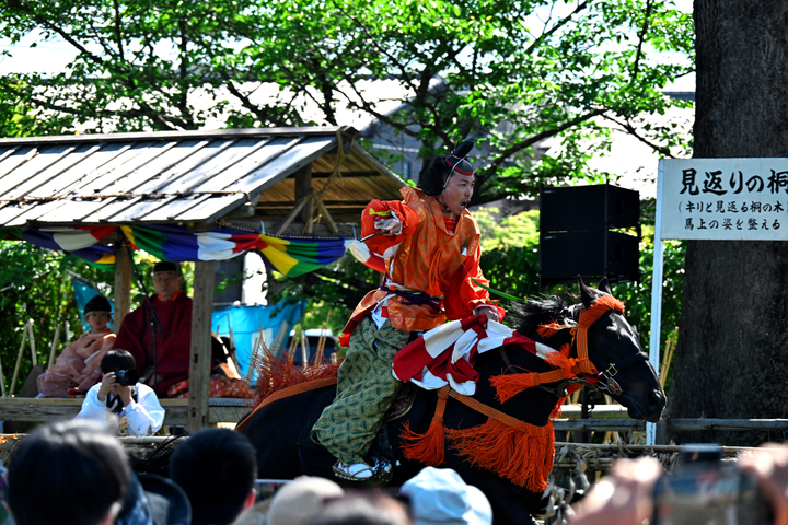 DSC_8808.jpg