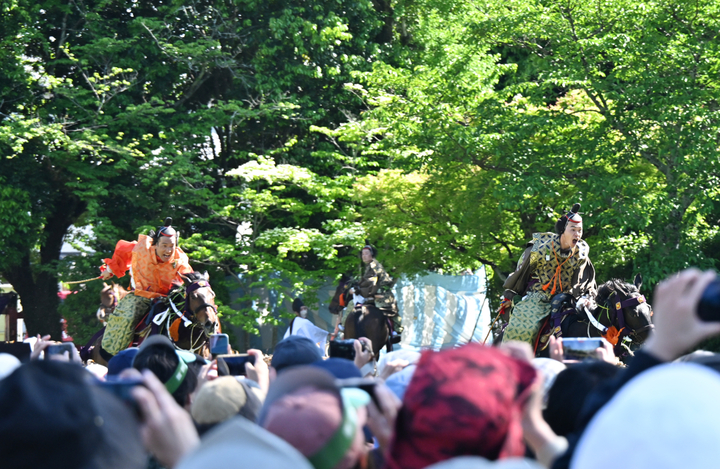 DSC_8821.jpg