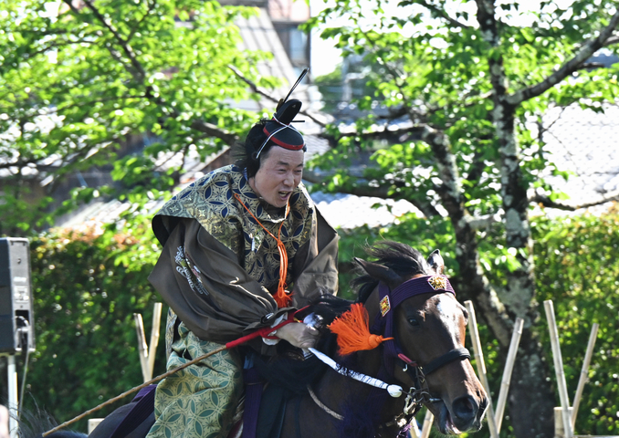 DSC_8955.jpg