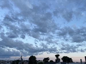 IMG_3147.jpeg