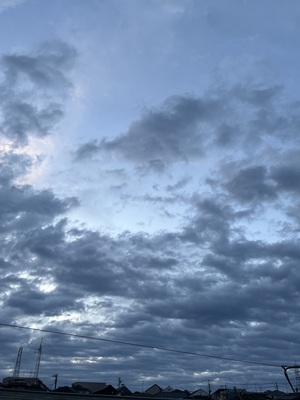 IMG_3148.jpeg