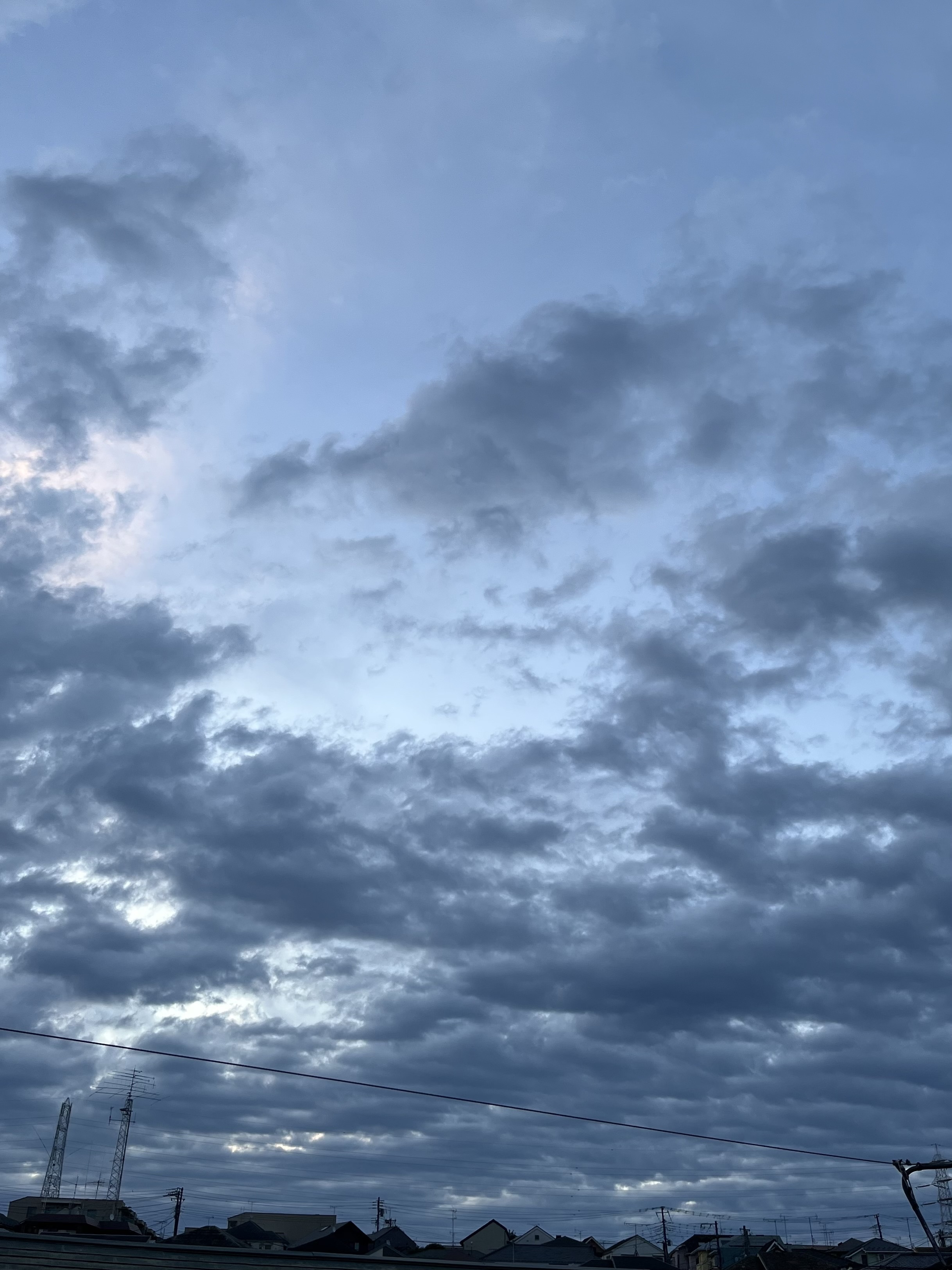 IMG_3148.jpeg