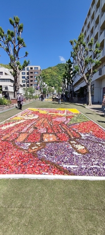 IMG20260505095924.jpg