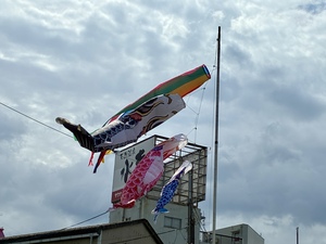 IMG_2782.jpeg