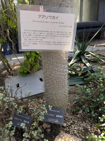PXL_20260505_012821741.jpg