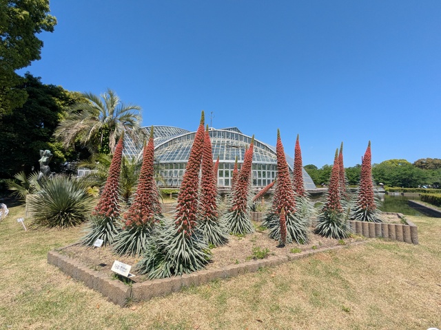 PXL_20260505_014005065.jpg