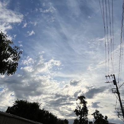 IMG_3152.jpeg