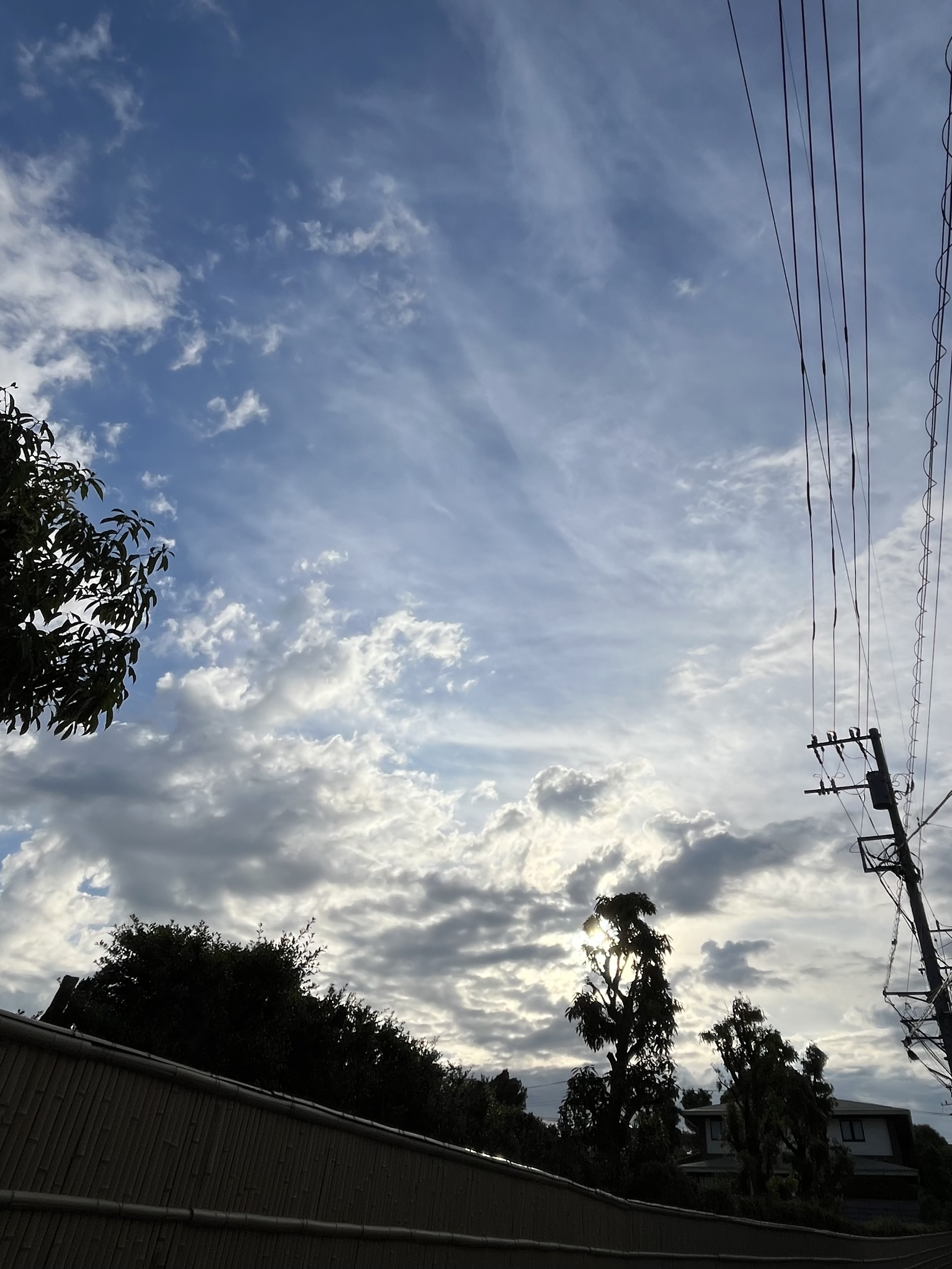 IMG_3152.jpeg