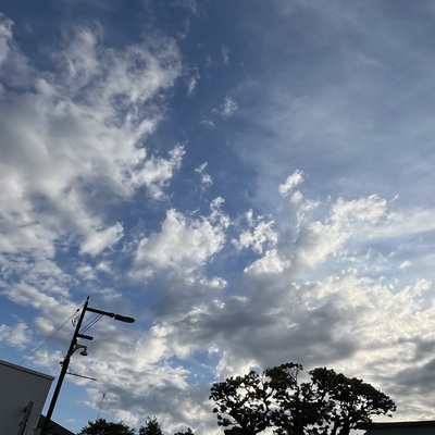 IMG_3150.jpeg